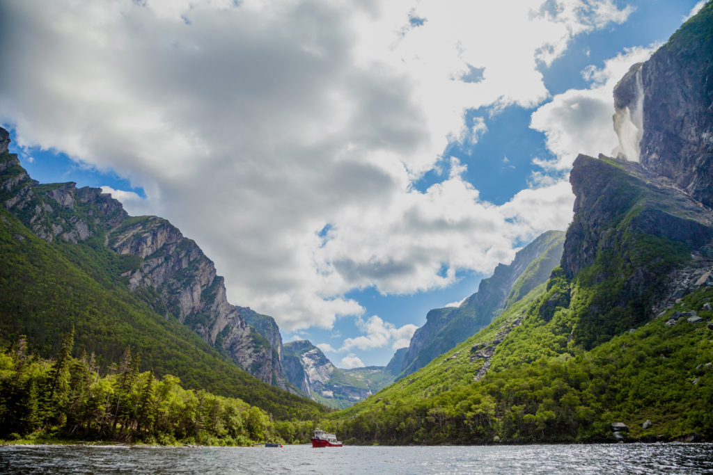 western brook fjord boat tour