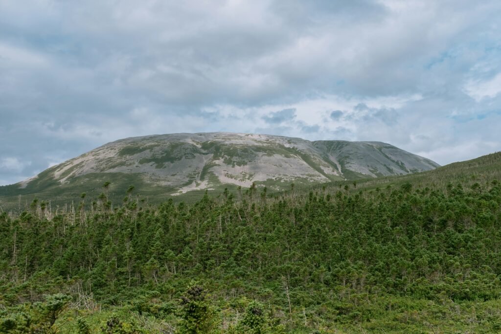 Gros Morne mountain Newfoundland hiking landscape