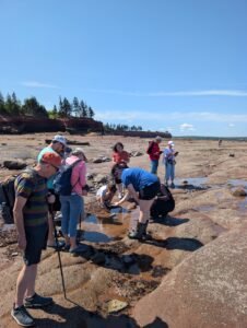 What Lives Under Atlantic Canada’s Waves